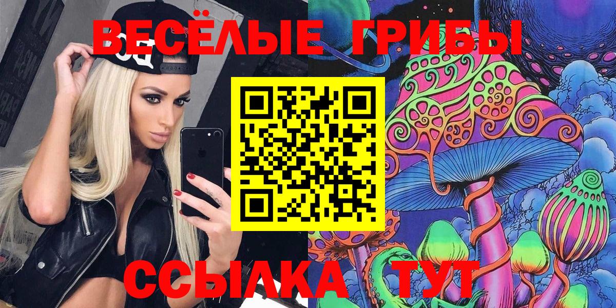 Галлюциногенные грибы MAGIC MUSHROOMS  Вход с VPN  Нарткала 