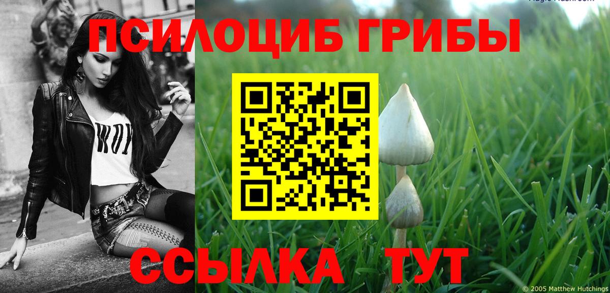 Псилоцибиновые грибы ЛСД Нарткала